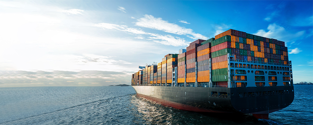 Shipping details